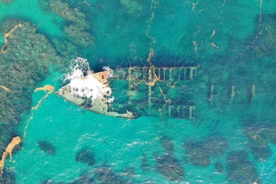 La vie sous-marine s’épanouit dans les épaves abandonnées