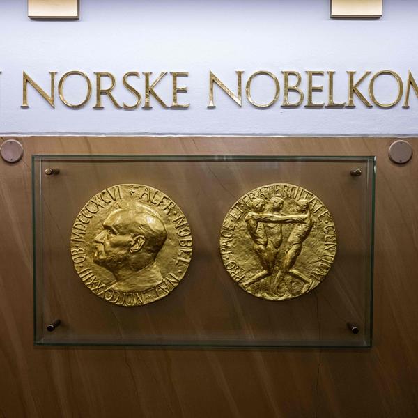 Les trois lauréats du Nobel de médecine 2025 : une révolution dans la compréhension de l’immunité